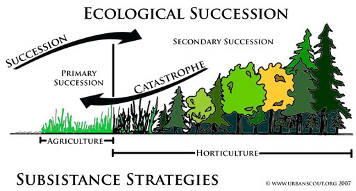 Horticultura vs agricultura
